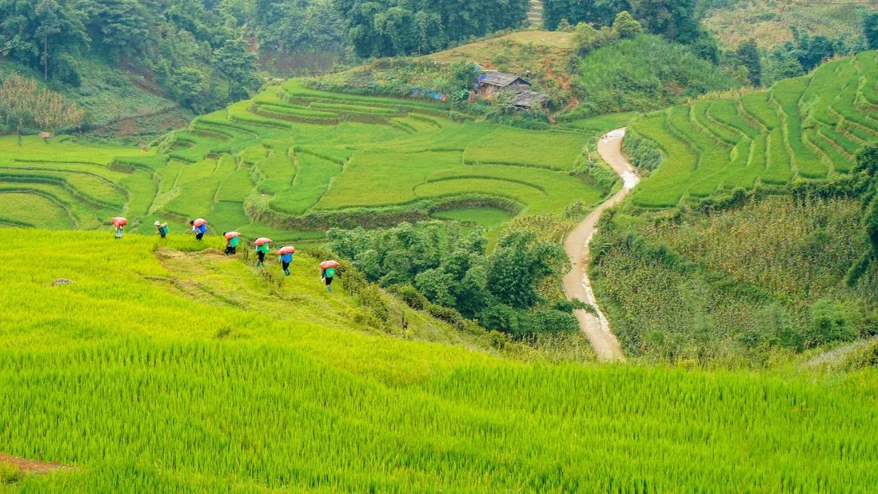 Sapa Fantasea Homestay Luaran gambar