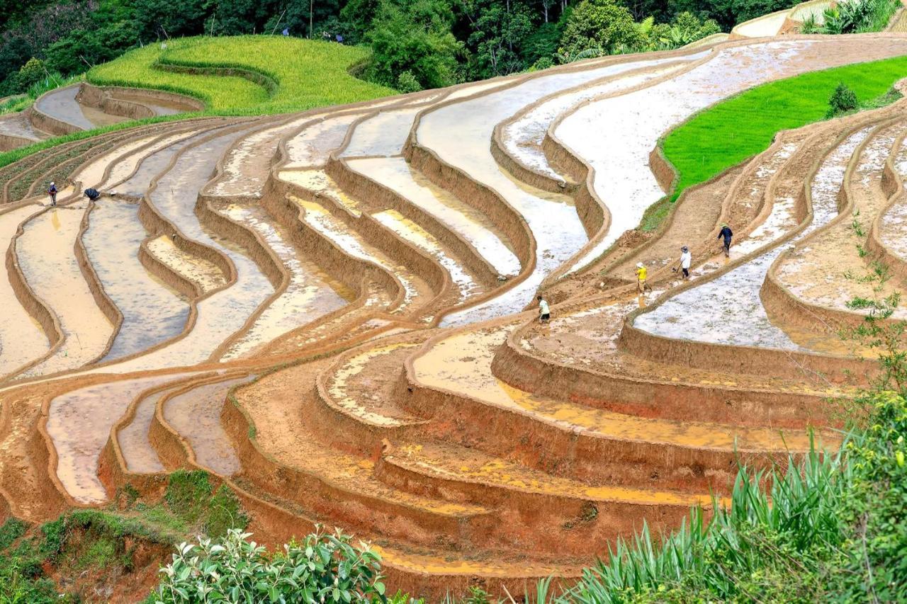 Sapa Fantasea Homestay Luaran gambar